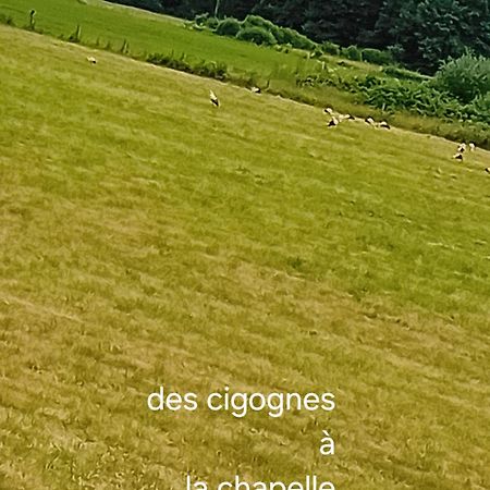 Ferienwohnung Guiguitte La Chapelle-les-Luxeuil Exterior foto