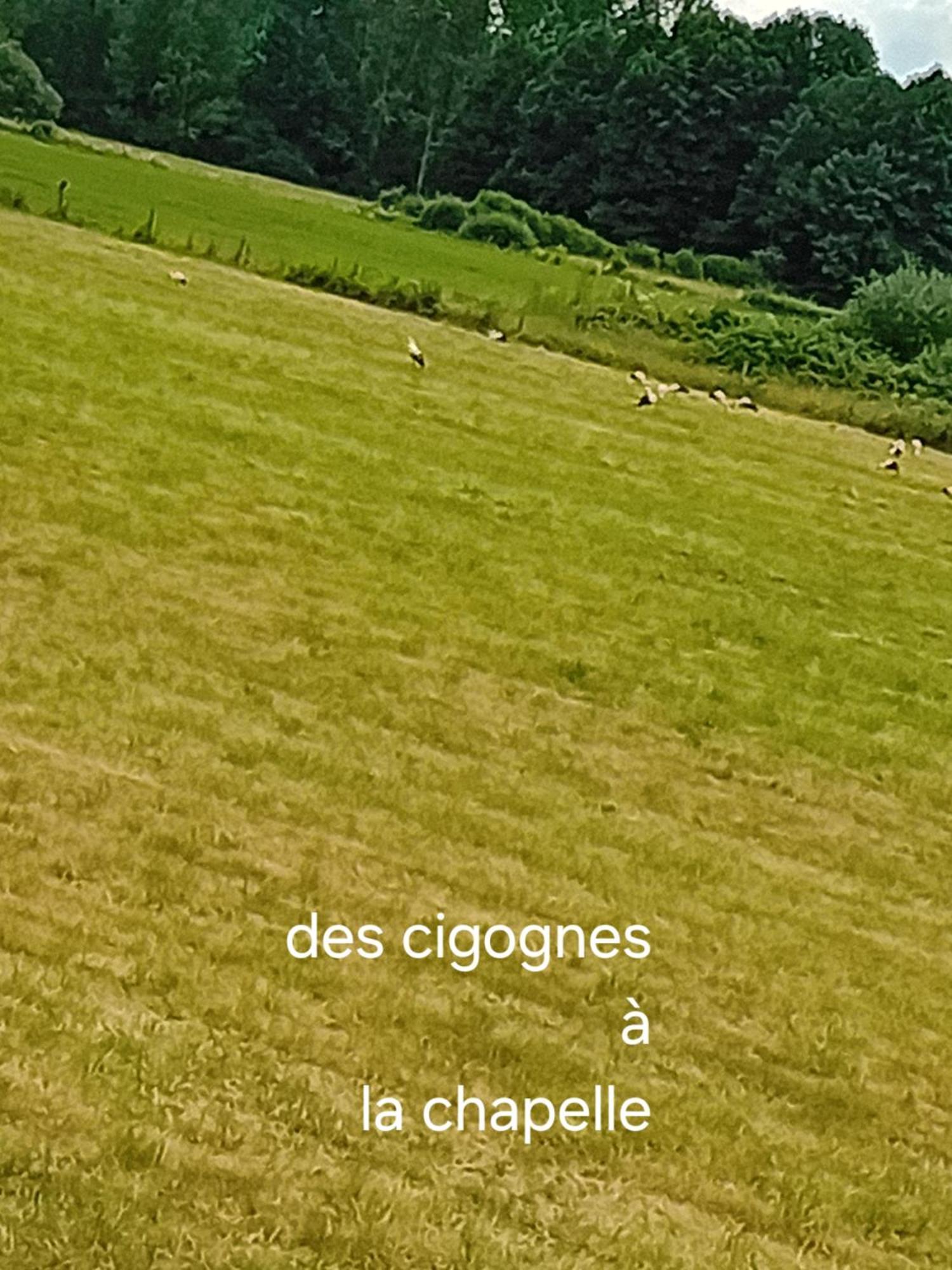 Ferienwohnung Guiguitte La Chapelle-les-Luxeuil Exterior foto